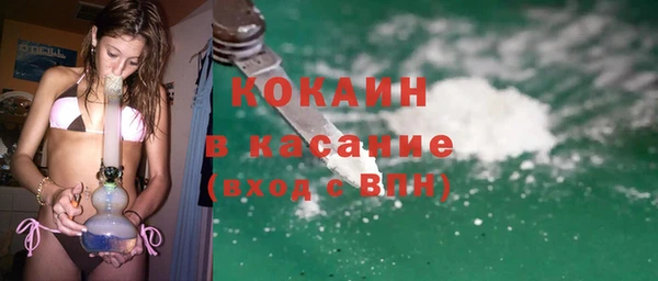 трава Абаза