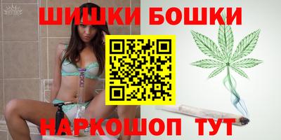 гашик Славгород