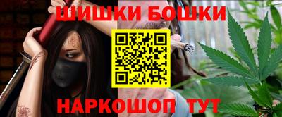 гашик Славгород