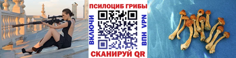 Галлюциногенные грибы Magic Shrooms  Орск 