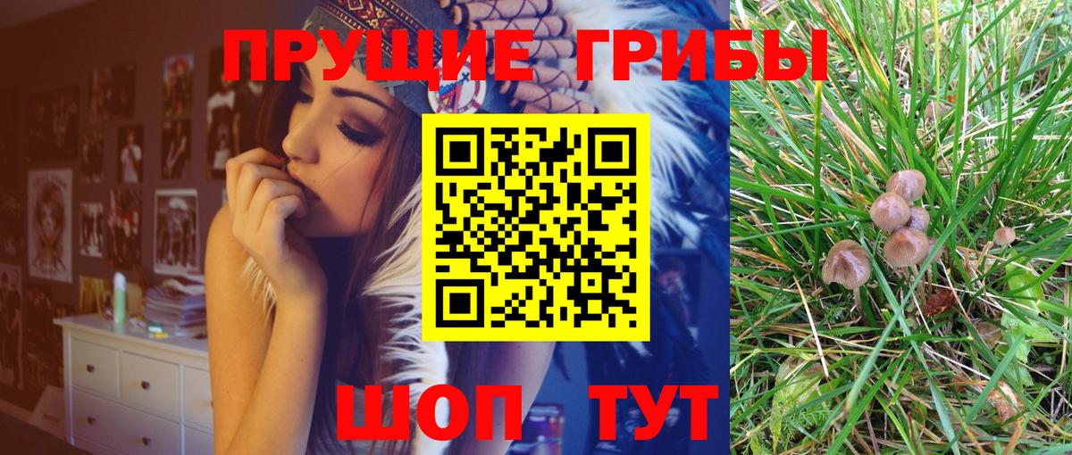 Псилоцибиновые грибы MAGIC MUSHROOMS  Вход с VPN  Орск  Галлюциногенные грибы MAGIC MUSHROOMS 